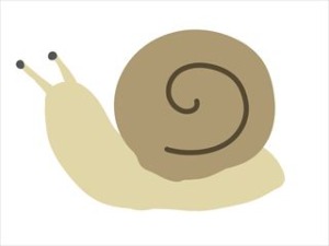 かたつむり
